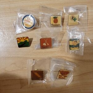 Lot of Vintage Hardee's Collectible Pins
